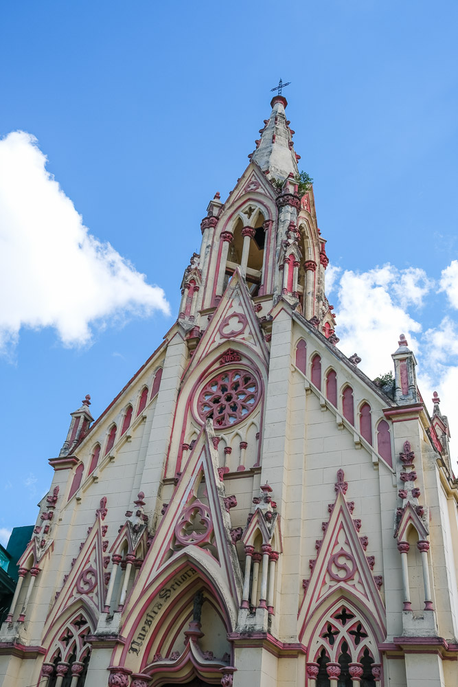 Gothic Tropics