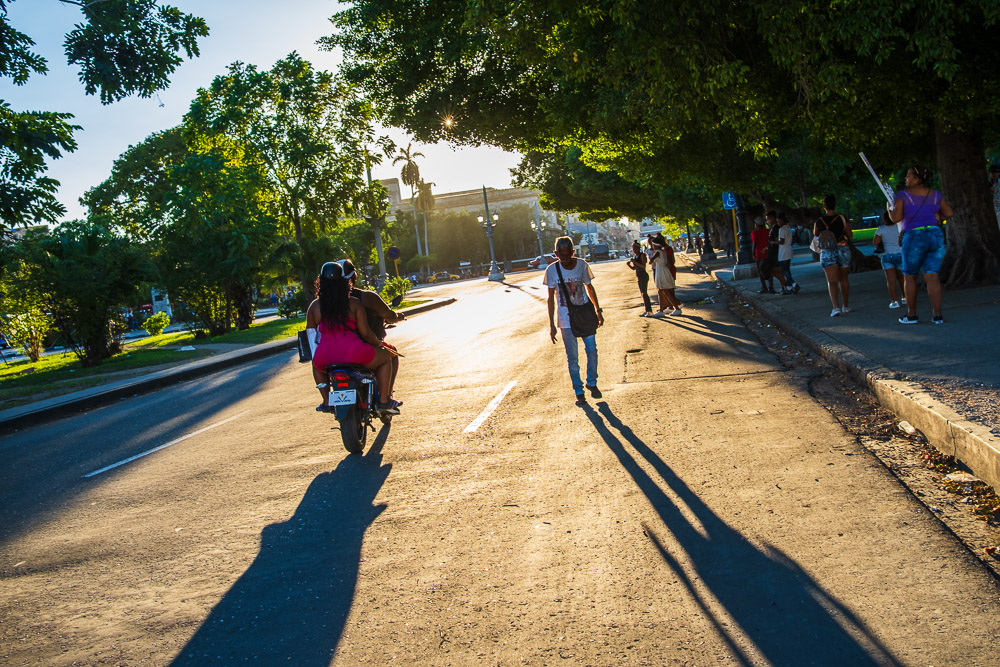Long Shadows