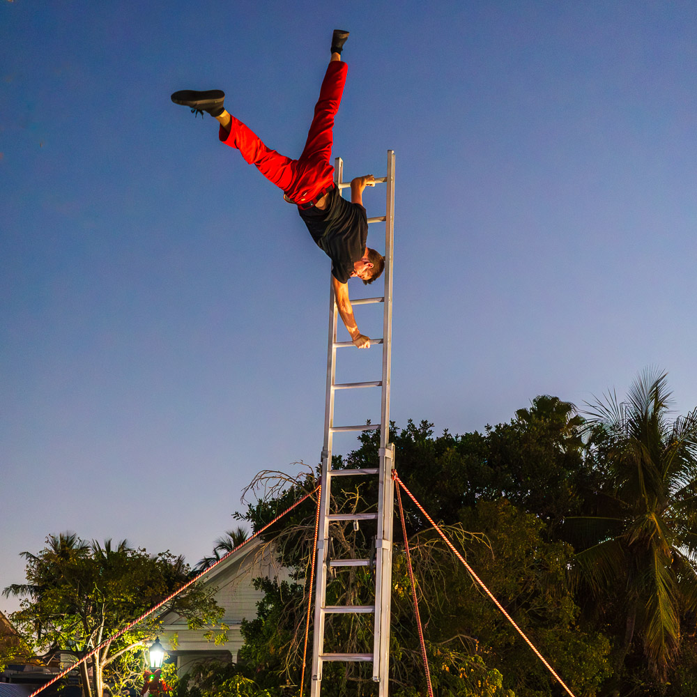 The Dusk Watchman